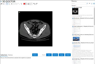 3D-DOCTOR - Flamory bookmarks and screenshots