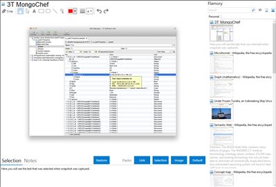 3T MongoChef - Flamory bookmarks and screenshots
