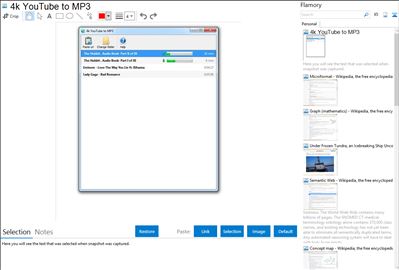 4k YouTube to MP3 - Flamory bookmarks and screenshots