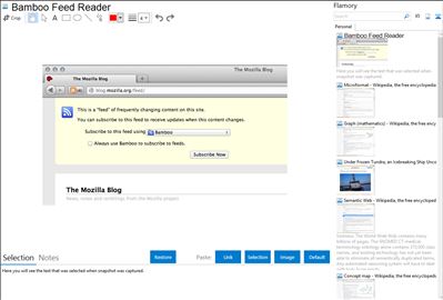 Bamboo Feed Reader - Flamory bookmarks and screenshots
