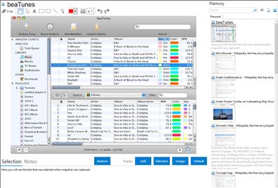 beaTunes - Flamory bookmarks and screenshots