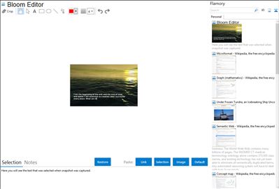 Bloom Editor - Flamory bookmarks and screenshots