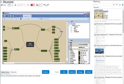 Blumind - Flamory bookmarks and screenshots
