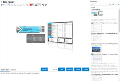 BSPlayer - Flamory bookmarks and screenshots