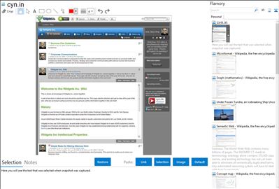 cyn.in - Flamory bookmarks and screenshots