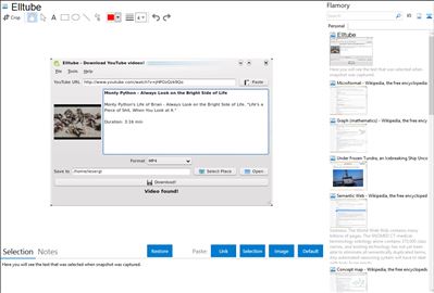 Elltube - Flamory bookmarks and screenshots