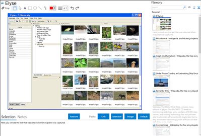 Elyse - Flamory bookmarks and screenshots