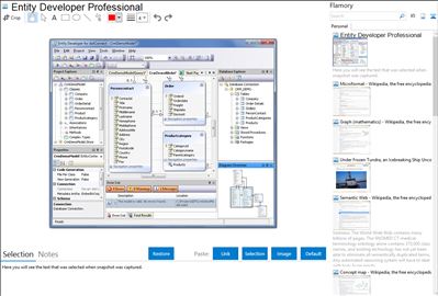 Entity Developer Professional - Flamory bookmarks and screenshots