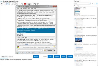 Ethervane Echo - Flamory bookmarks and screenshots