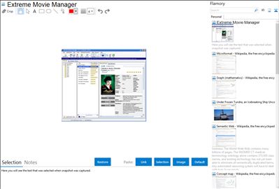 Extreme Movie Manager - Flamory bookmarks and screenshots