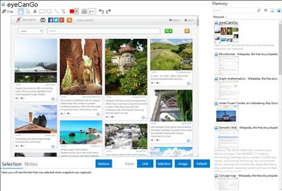 eyeCanGo - Flamory bookmarks and screenshots