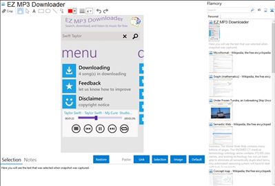 EZ MP3 Downloader - Flamory bookmarks and screenshots