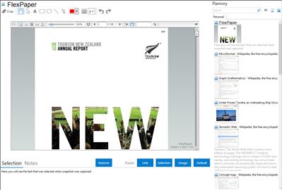 FlexPaper - Flamory bookmarks and screenshots