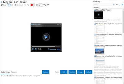 Moyea FLV Player - Flamory bookmarks and screenshots
