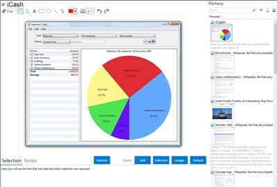 iCash - Flamory bookmarks and screenshots