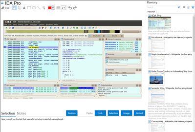 IDA Pro - Flamory bookmarks and screenshots