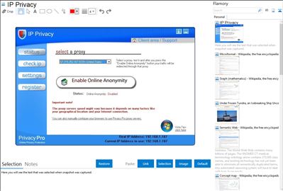 IP Privacy - Flamory bookmarks and screenshots