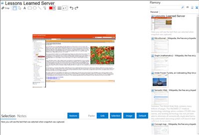 Lessons Learned Server - Flamory bookmarks and screenshots