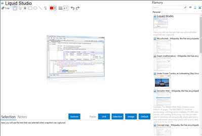 Liquid Studio - Flamory bookmarks and screenshots