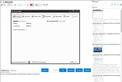 Litecoin - Flamory bookmarks and screenshots