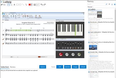 Ludwig - Flamory bookmarks and screenshots