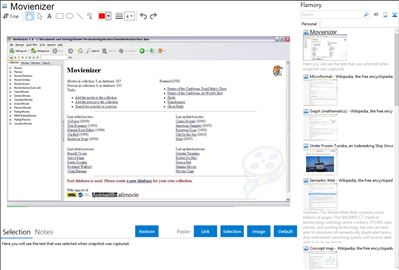 Movienizer - Flamory bookmarks and screenshots