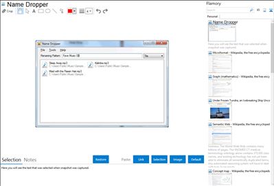 Name Dropper - Flamory bookmarks and screenshots