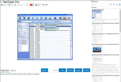 NetTools Pro - Flamory bookmarks and screenshots