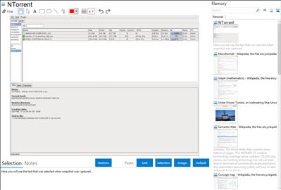 NTorrent - Flamory bookmarks and screenshots