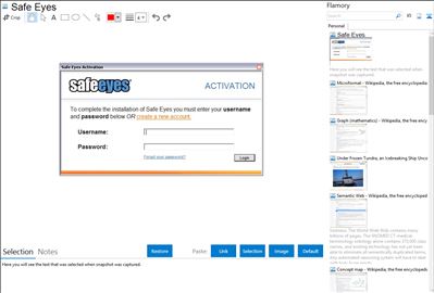 Safe Eyes - Flamory bookmarks and screenshots