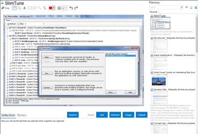 SlimTune - Flamory bookmarks and screenshots