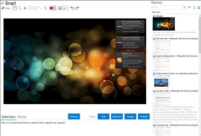 Snarl - Flamory bookmarks and screenshots