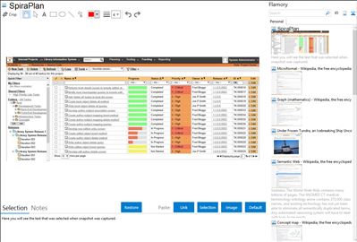 SpiraPlan - Flamory bookmarks and screenshots
