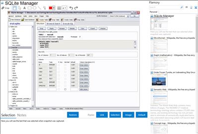 SQLite Manager - Flamory bookmarks and screenshots
