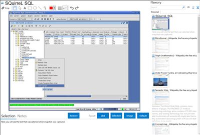 SQuirreL SQL - Flamory bookmarks and screenshots