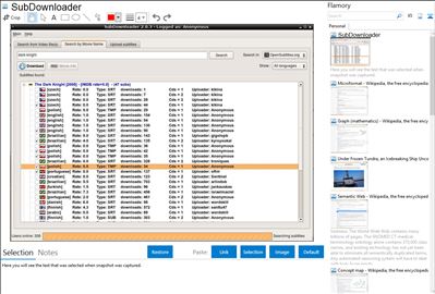 SubDownloader - Flamory bookmarks and screenshots