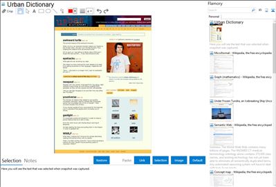 Urban Dictionary - Flamory bookmarks and screenshots