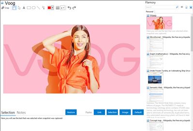 Voog - Flamory bookmarks and screenshots