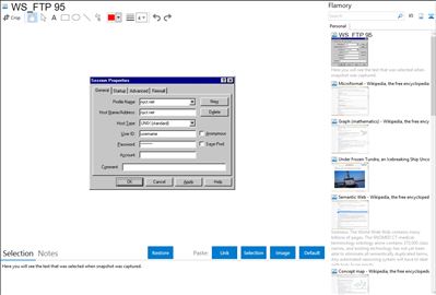 WS_FTP 95 - Flamory bookmarks and screenshots