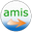 AMIS logo