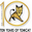 Apache Tomcat logo