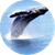 Breath logo