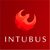 Intubus logo