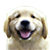 Retriev.er logo