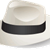 Sinatra logo
