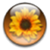 Weather Center logo