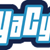 YaCy logo