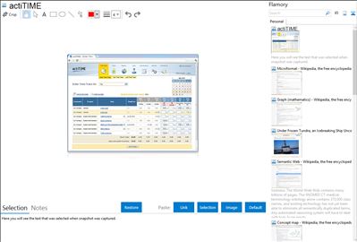 actiTIME - Flamory bookmarks and screenshots