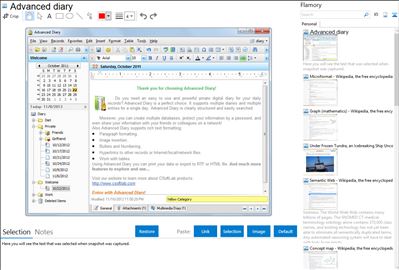 Advanced diary - Flamory bookmarks and screenshots