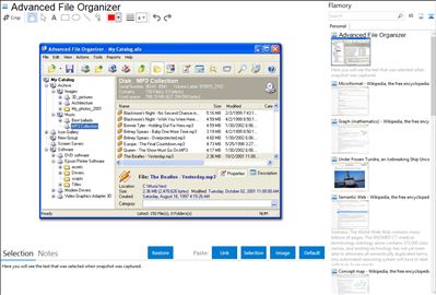 Advanced File Organizer - Flamory bookmarks and screenshots